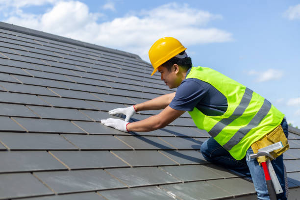 Best Commercial Roofing Services  in Taylorvle, IL