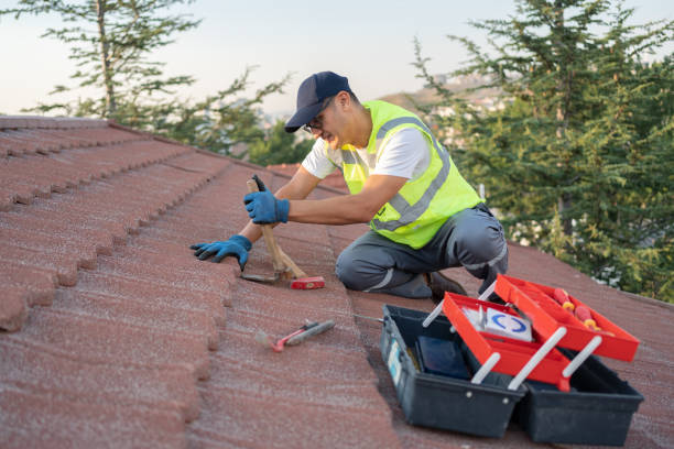 Best Storm Damage Roof Repair  in Taylorvle, IL